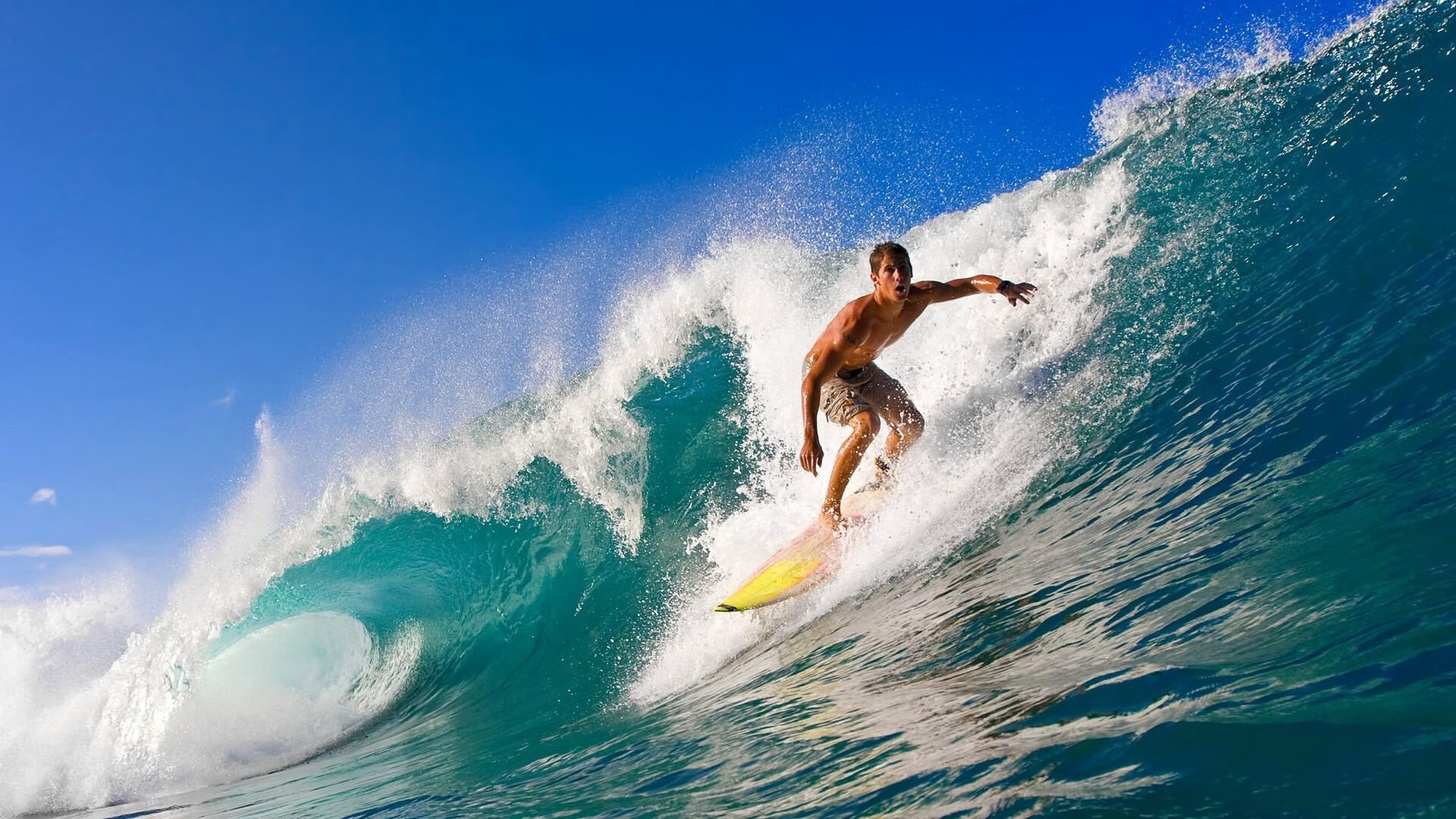 泳坛名将陷入禁赛风波 国际泳联启动调查程序